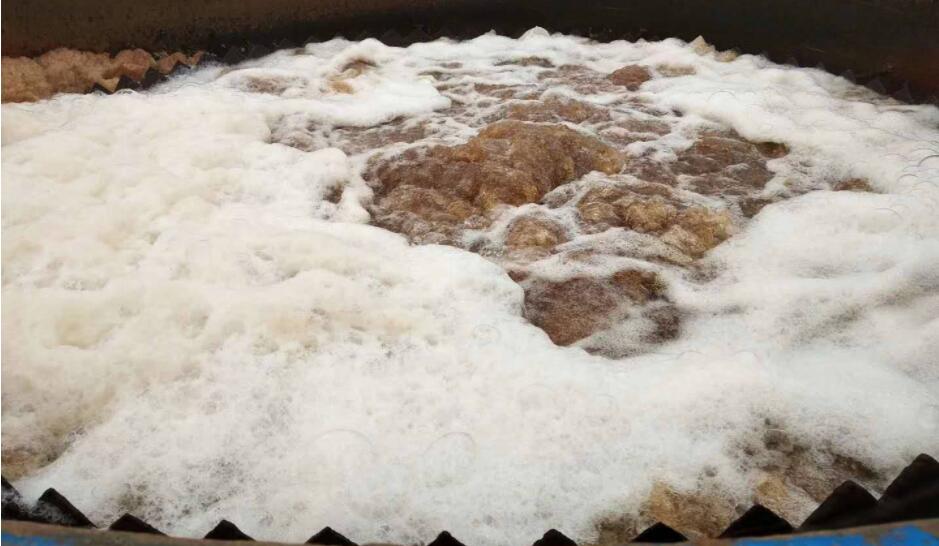 （圖：污水處理廠(chǎng)出水有白色泡沫）